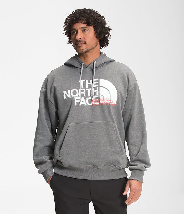 Sudadera Con Capucha The North Face Hombre Coordinates Pullover - Colombia IHXFVC874 - Gris